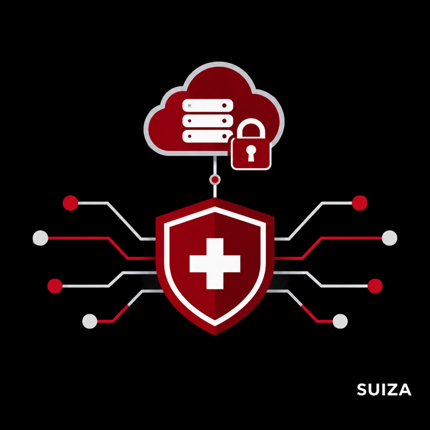 nueva ley de ciberseguridad en Suiza